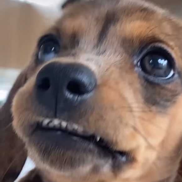 Meet your Posher, Tim - Picture 1 of 1